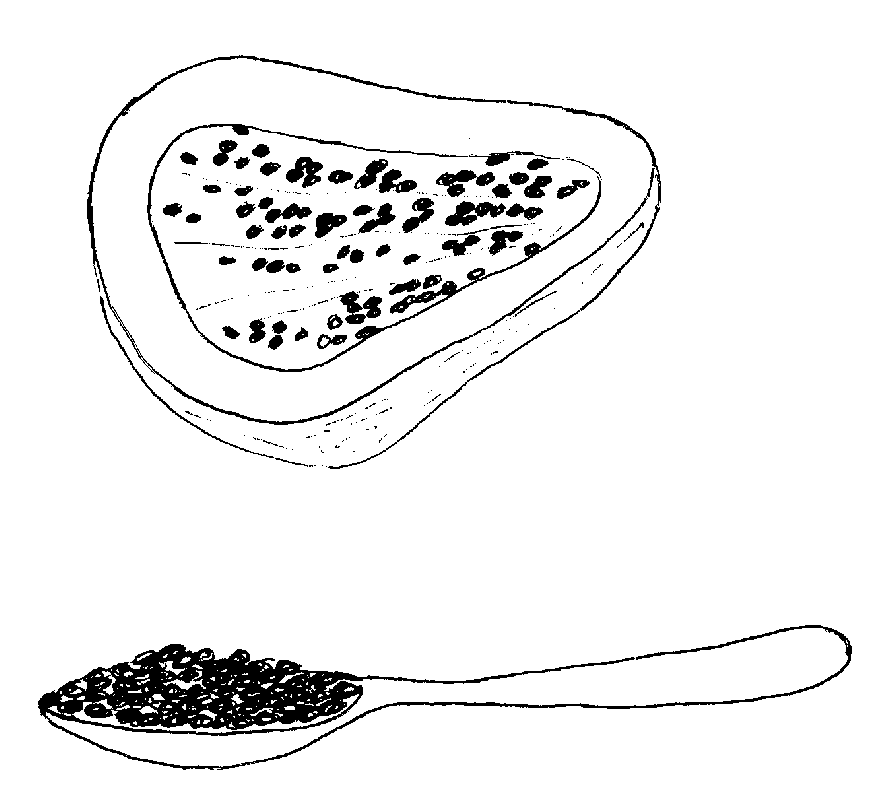 Picture from book4.02.png