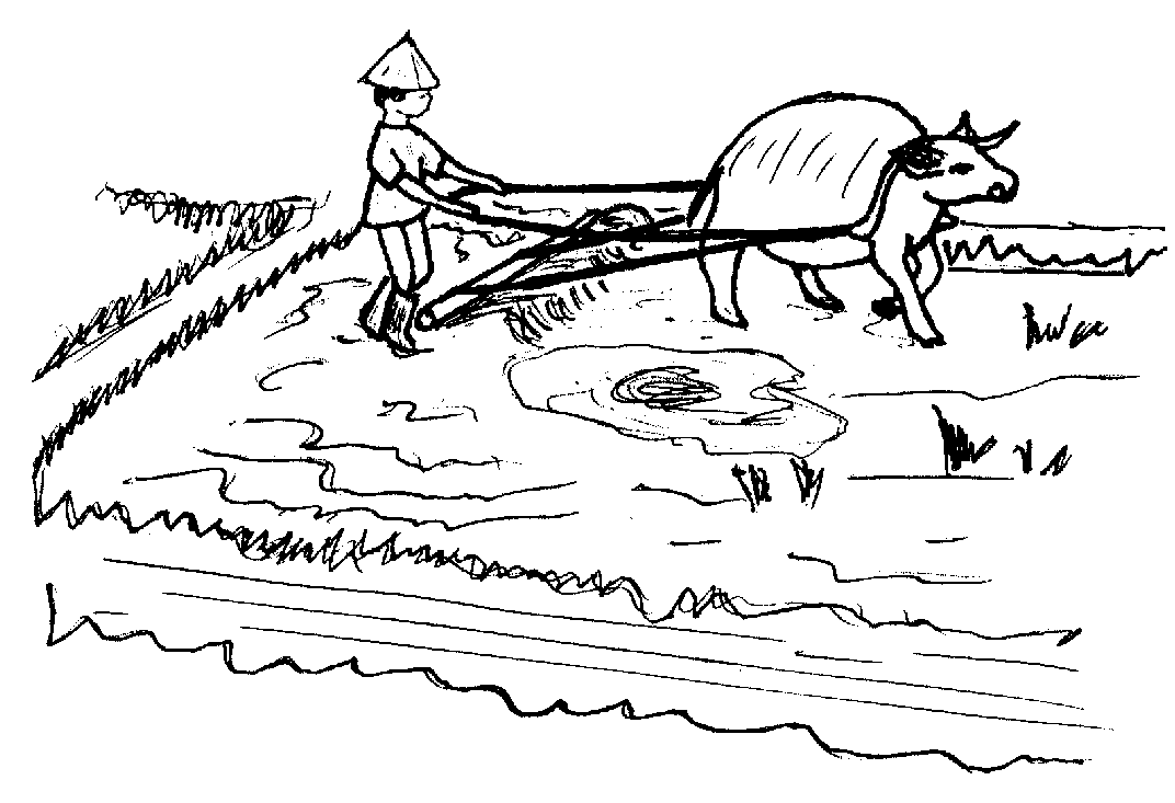 Picture from book4.13.png