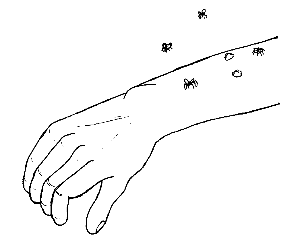 Picture from book5.16.png