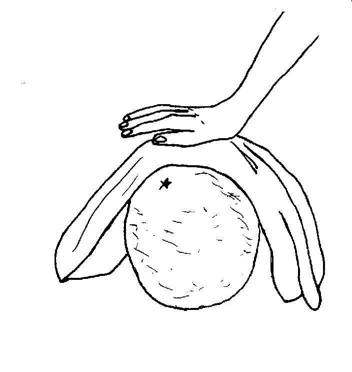 Picture from book7.05.png