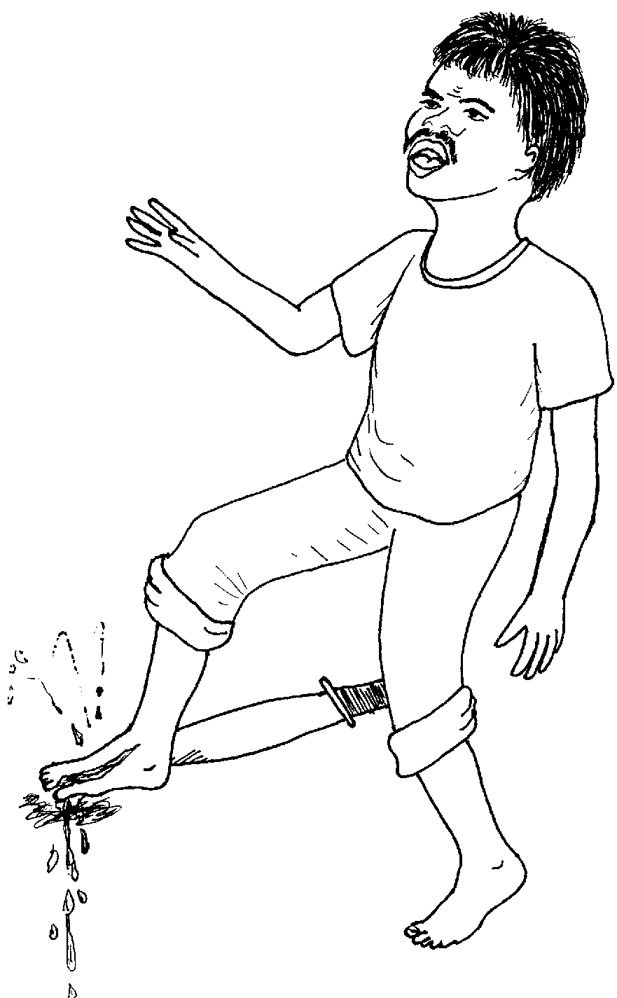 Picture from book8.01.png