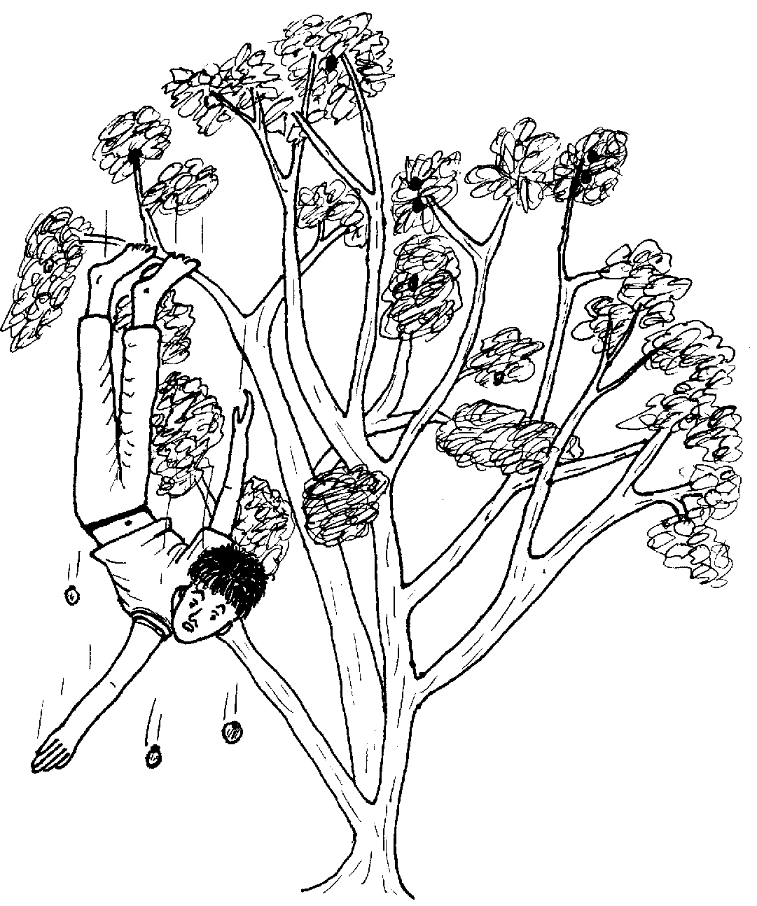 Picture from book8.21.png