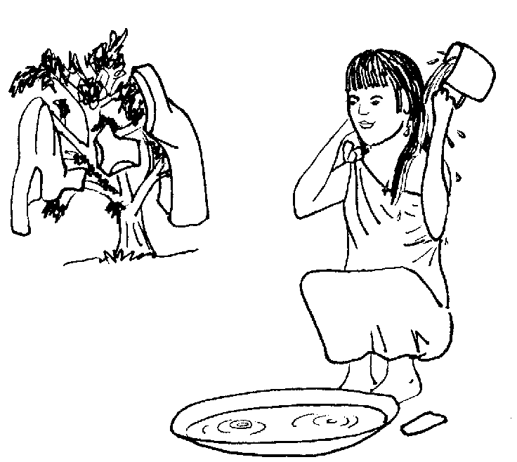Picture from picture2.08.png