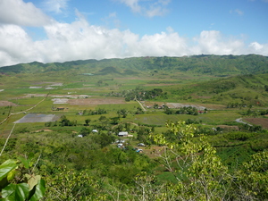 Picture of Sinuda