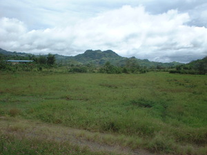 Picture of Sumalili