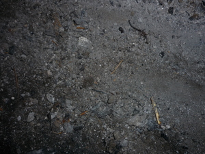 Picture of abu