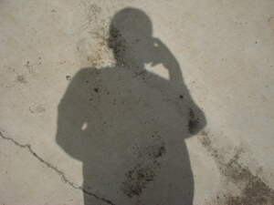 Picture of alung