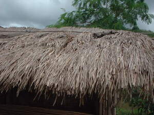 Picture of atep