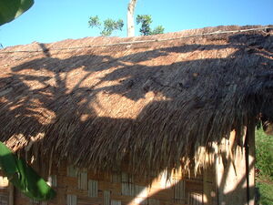 Picture of atep