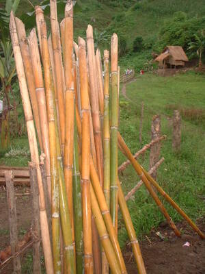 Picture of bagtek