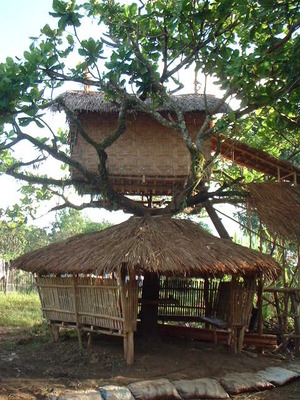 Picture of baley1