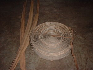 Picture of baluy2