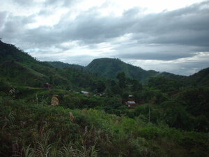 Picture of bariyu