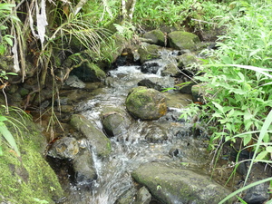 Picture of batuwen