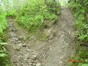 Picture of bebalakan