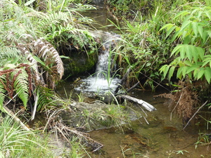 Picture of beuhan