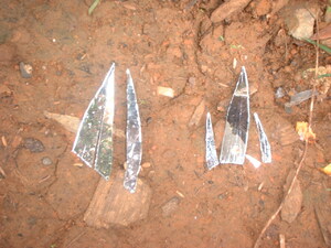 Picture of bildu