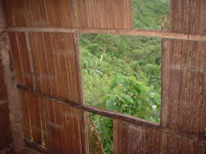 Picture of bintanà