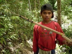 Picture of bitik