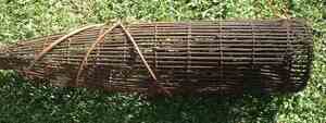 Picture of bubu
