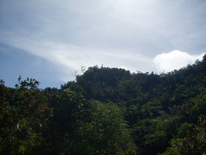 Picture of bubungan