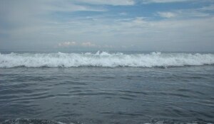 Picture of bunlud
