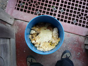 Picture of burun