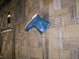 Picture of butas