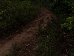 Picture of dalan