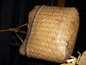 Picture of daluus