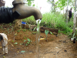 Picture of eg-agas