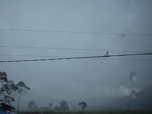 Picture of eg-uran
