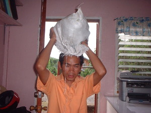 Picture of eg-utuk