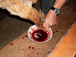 Picture of eggilang