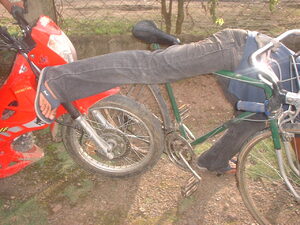 Picture of egkabundul