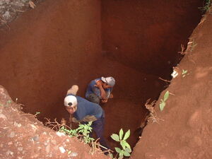 Picture of egkali