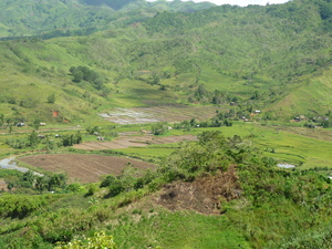 Picture of egkapantew
