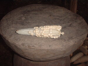 Picture of egkasaladdat