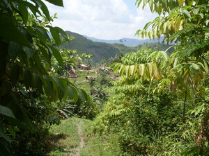 Picture of egkaseilang