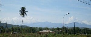 Picture of egkilem