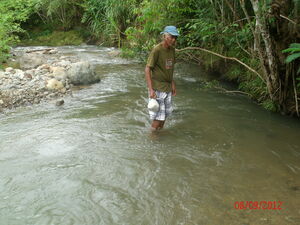 Picture of eglapas