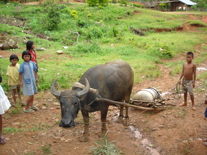 Picture of egpahuyud