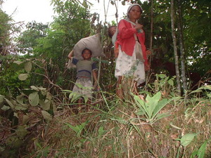 Picture of egpammubung