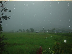Picture of egpanalahapun