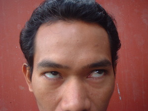 Picture of egpaseserep