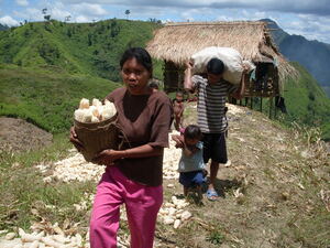 Picture of egsapipi