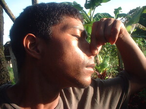 Picture of egsenga
