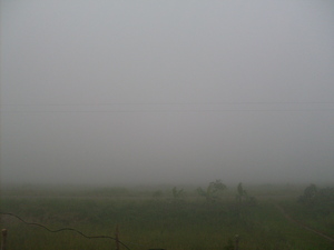 Picture of egtagmè