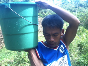 Picture of egtiang