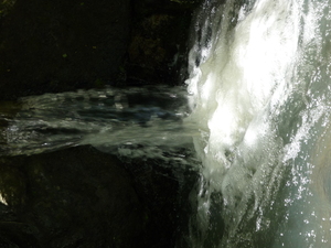 Picture of egtulayas